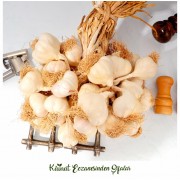 5 KG ATA TOHUM TAŞKÖPRÜ ORGANİK SARIMSAK